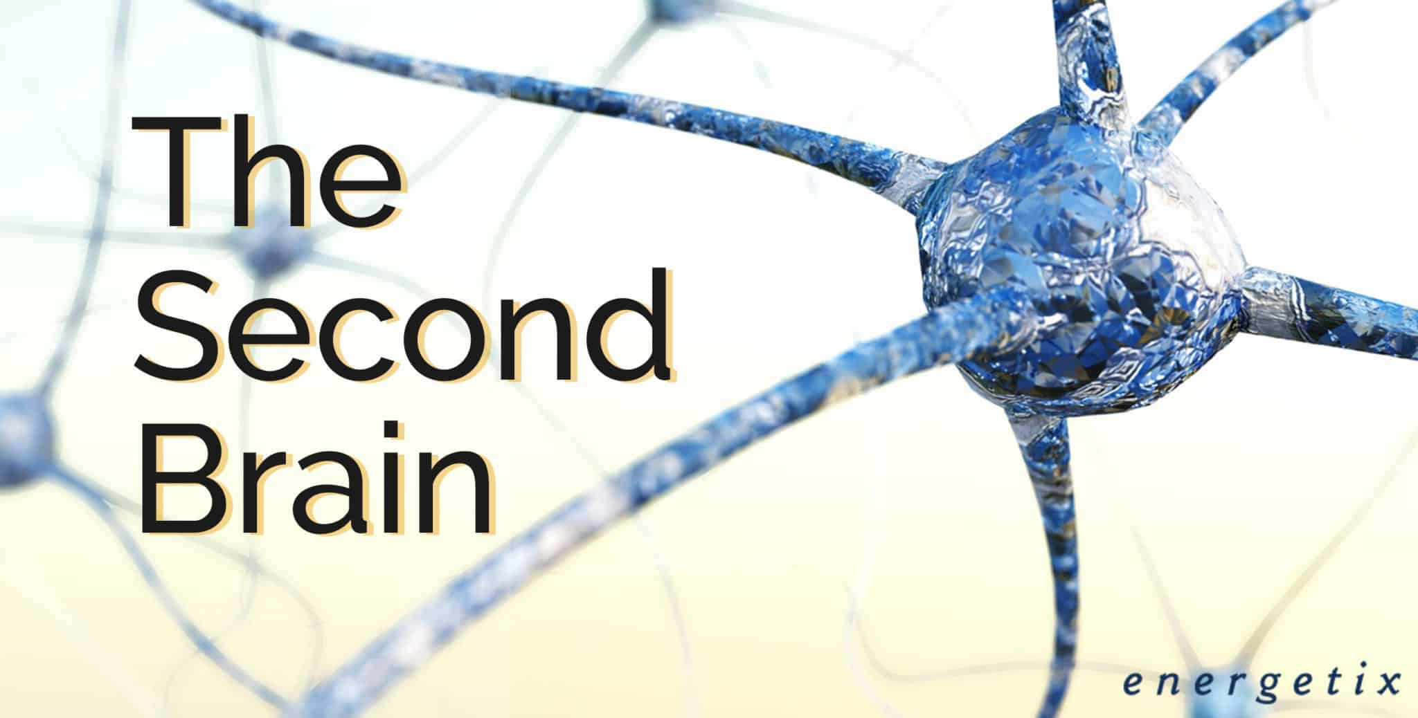 The Science Behind Gut Feelings Energetix