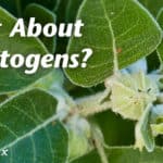 What About Adaptogens?