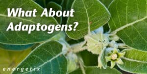 What About Adaptogens