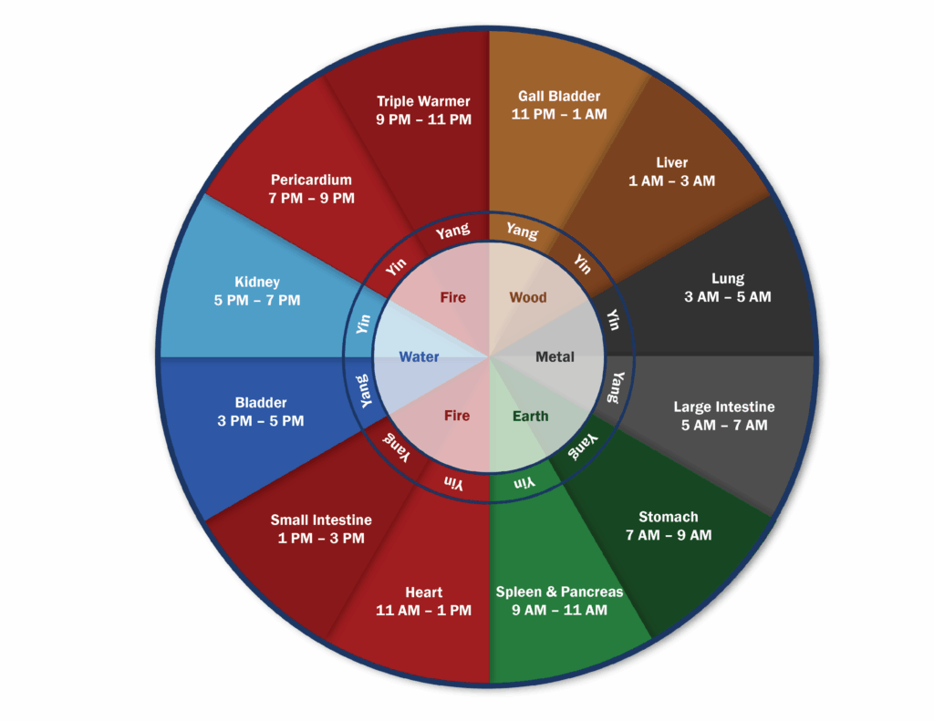 Circadian Rhythms and Metabolic Health Clock