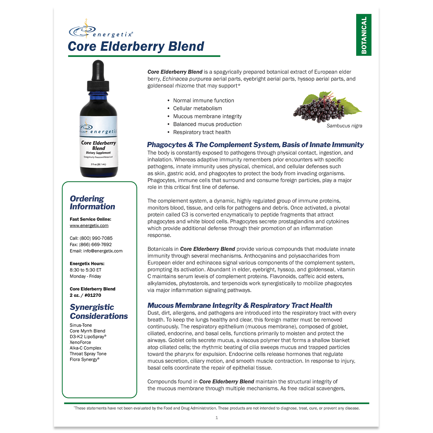 Core Elderberry Blend Detail Sheet Thumbnail