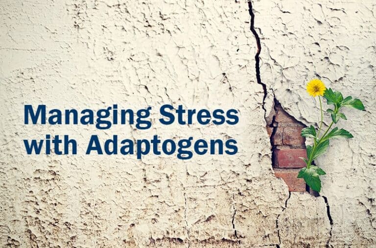 Managing Stress With Adaptogens Blog