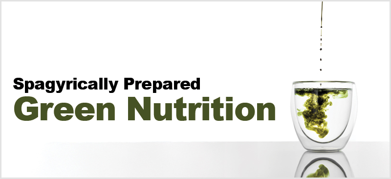 Read more about the article Spagyrically Prepared Green Nutrition