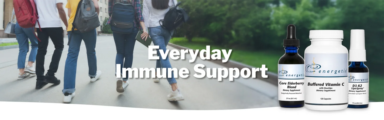 GALT-Immune Web Banner