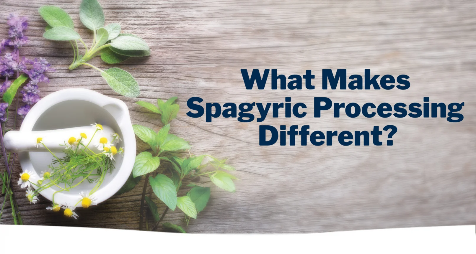 GALT-Immune Web Banner Mobile